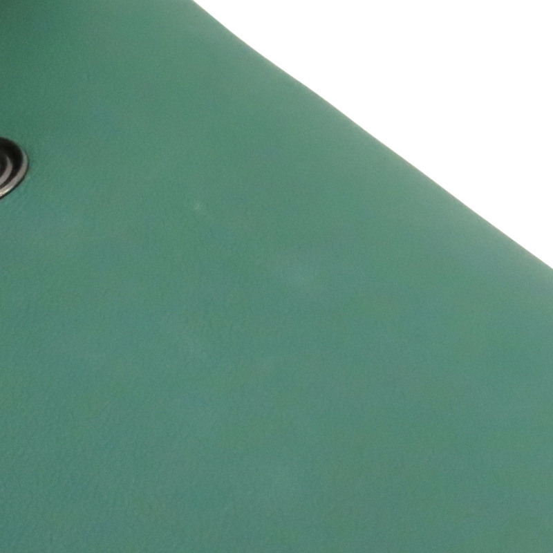 綠色 牛皮 Le Pliage Xtra Phone Case 肩背包【Longchamp 瓏驤】 34178987D90-15