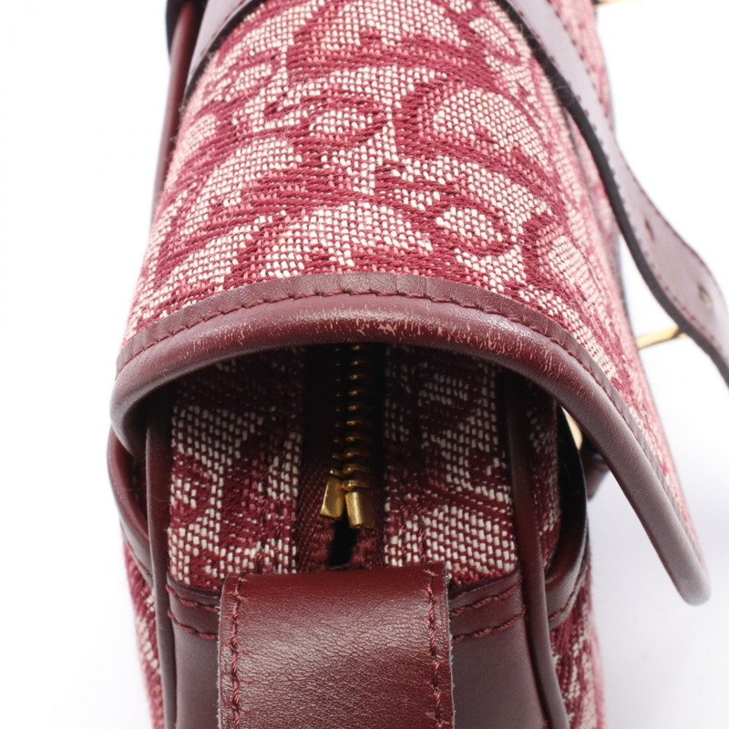 Dior Trotter 肩背包,帆布皮革,波爾多米色,二手女款-5