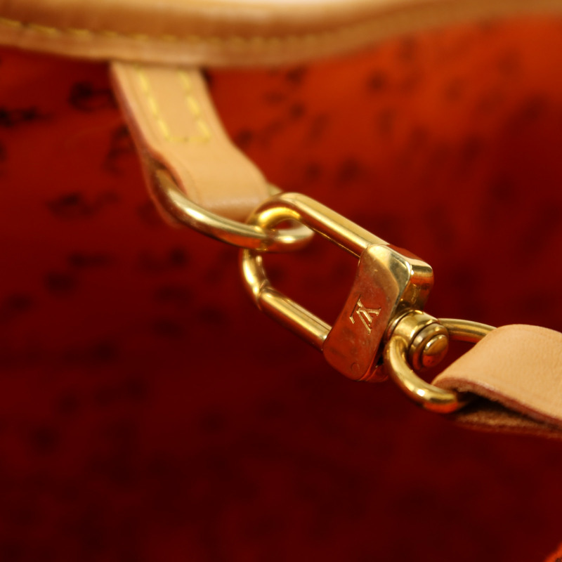 LOUIS VUITTON Catgram Neverfull MM金扣肩背袋-8