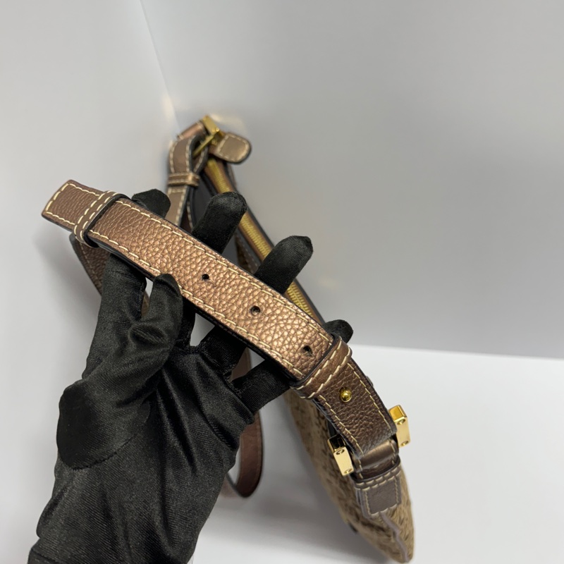 【極新🎁】 Loewe 羅伊威 經典款老花 男女通用斜背包(專櫃9.6萬)-9