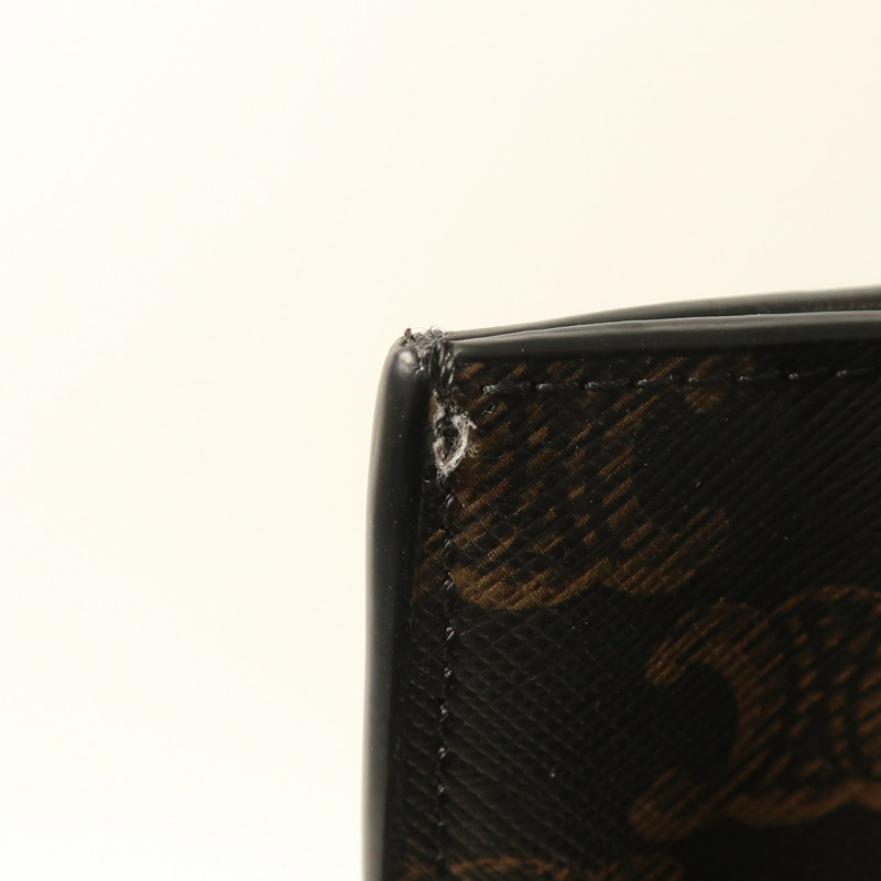 CELINE 塗層帆布Vertical Cabas In Triomphe金扣手挽肩背兩用袋-13