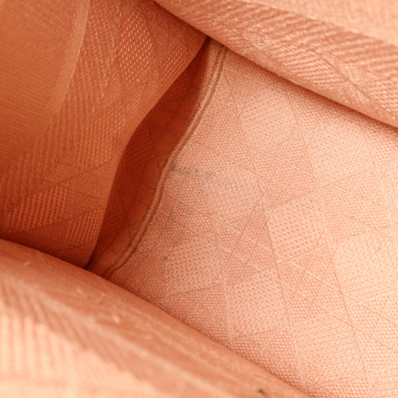 Dior 帆布Cannage Book Tote手挽袋-17