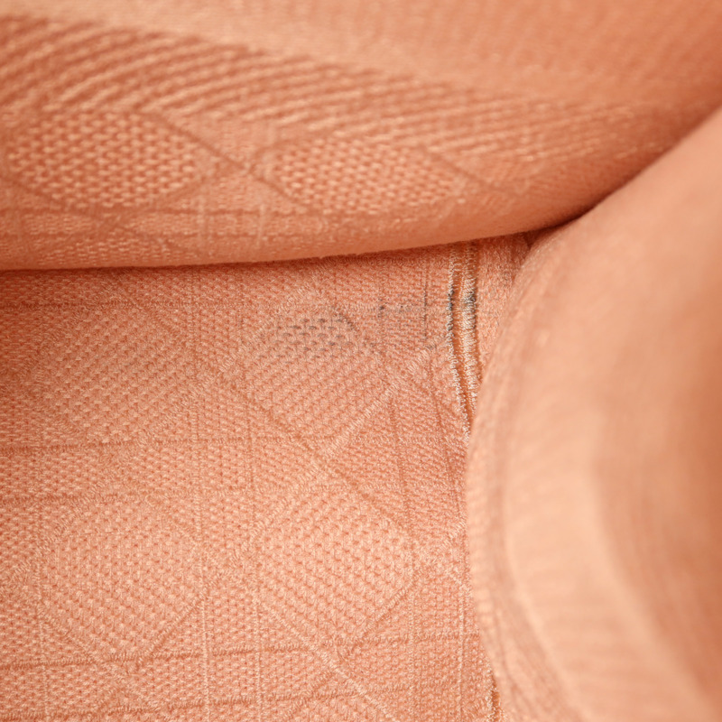 Dior 帆布Cannage Book Tote手挽袋-18