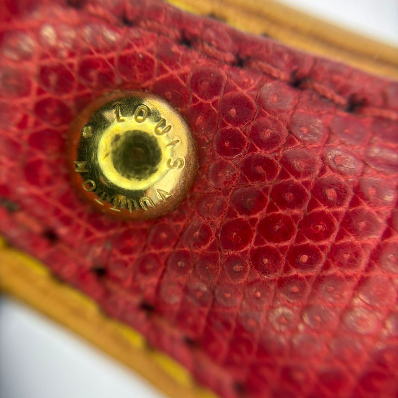 路易威登 腋下包-15