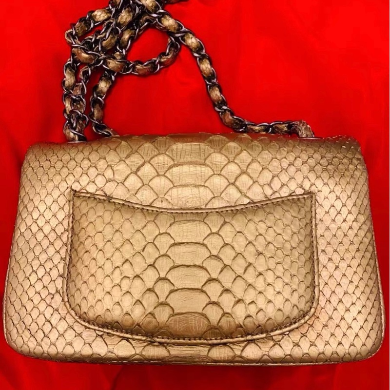 Chanel蛇皮包-2