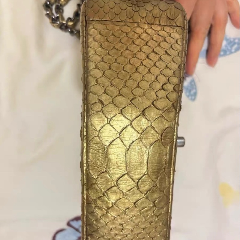 Chanel蛇皮包-5