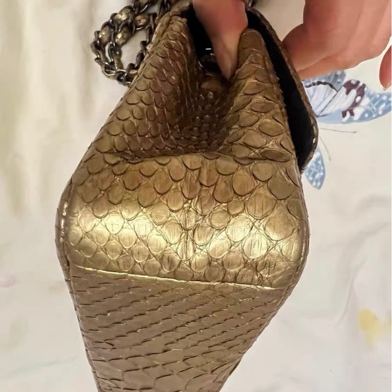 Chanel蛇皮包-6