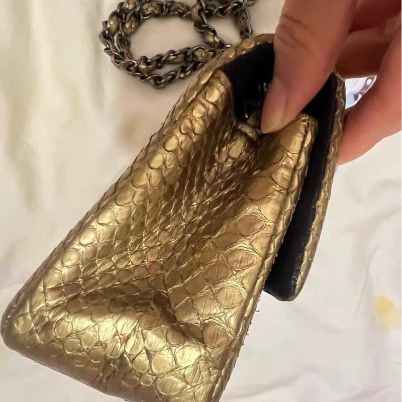 Chanel蛇皮包-7
