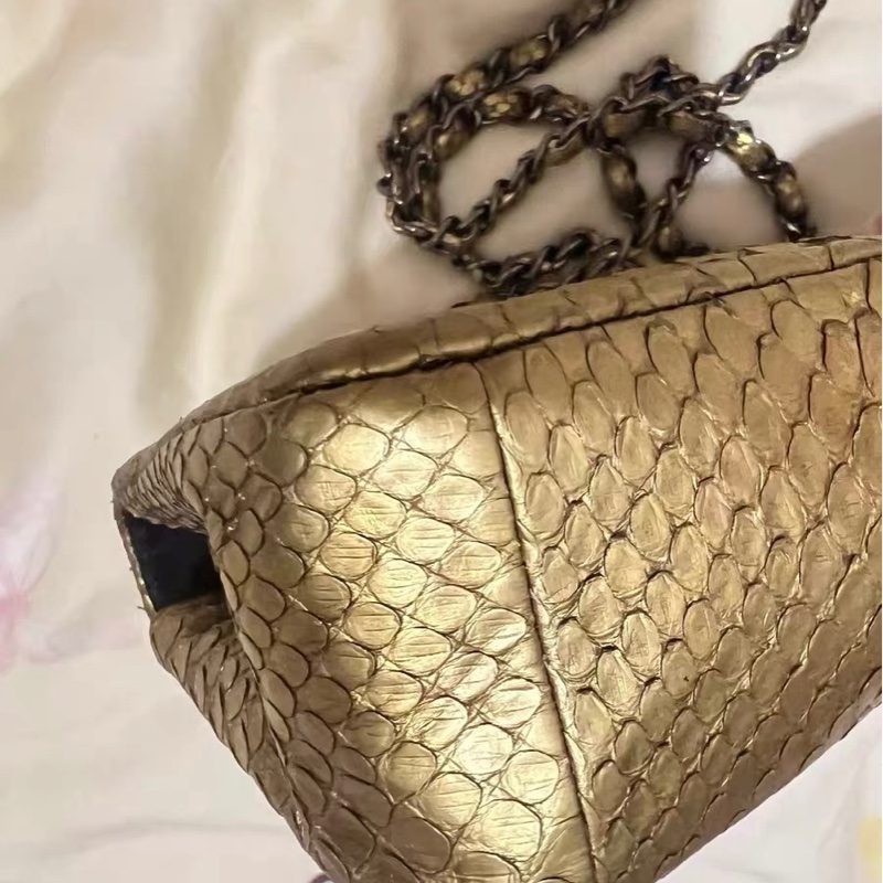 Chanel蛇皮包-8