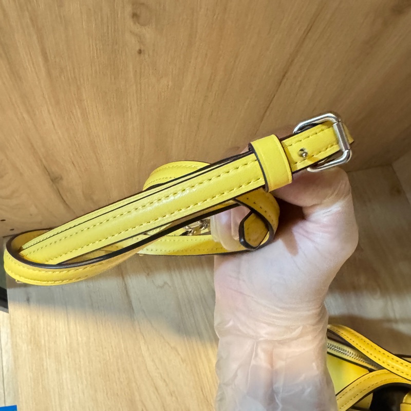 coach 女用網紅包(全新未用)-10