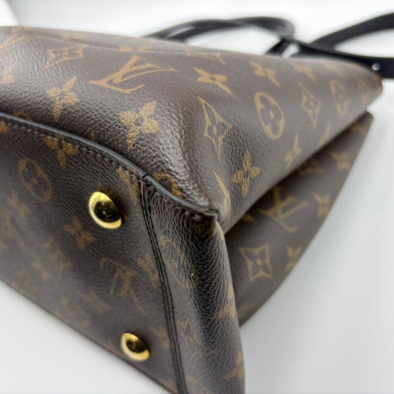 路易威登 托特包-14