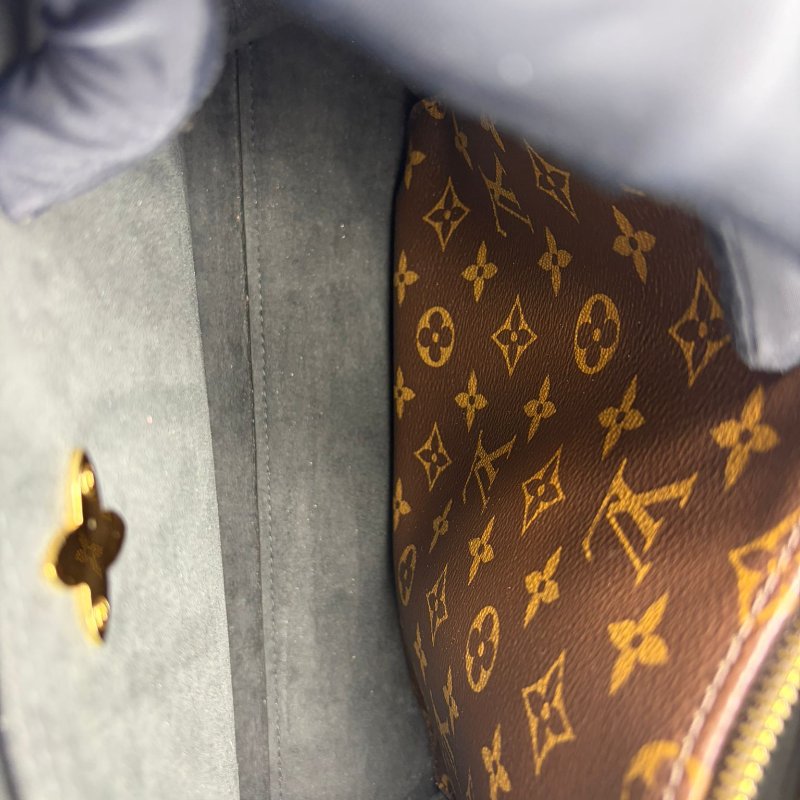 路易威登 托特包-15