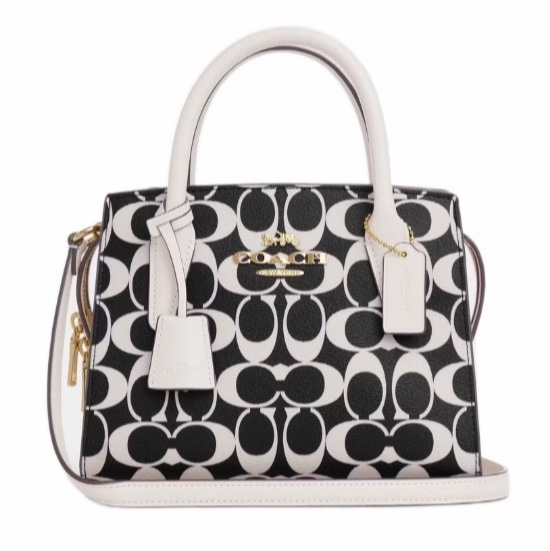 Coach 女士 ANDREA 單肩包均碼碼22cm*11.5cm*16.5cm-0