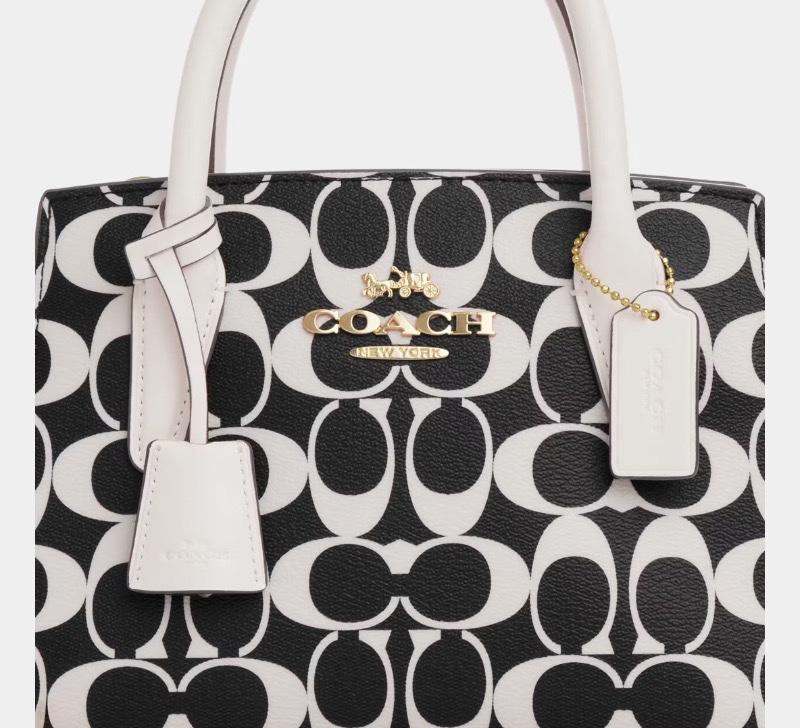 Coach 女士 ANDREA 單肩包均碼碼22cm*11.5cm*16.5cm-3