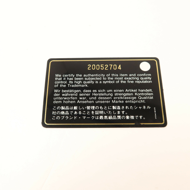 CHANEL 牛皮皮革WOC Wallet On Chain銀扣鏈帶肩背袋-9