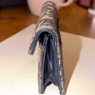 Dior Saddle Oblique 老花卡夾（無盒）-9