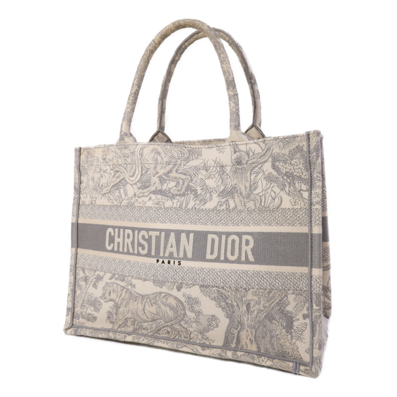 Dior 帆布Book Tote Medium手挽袋-1