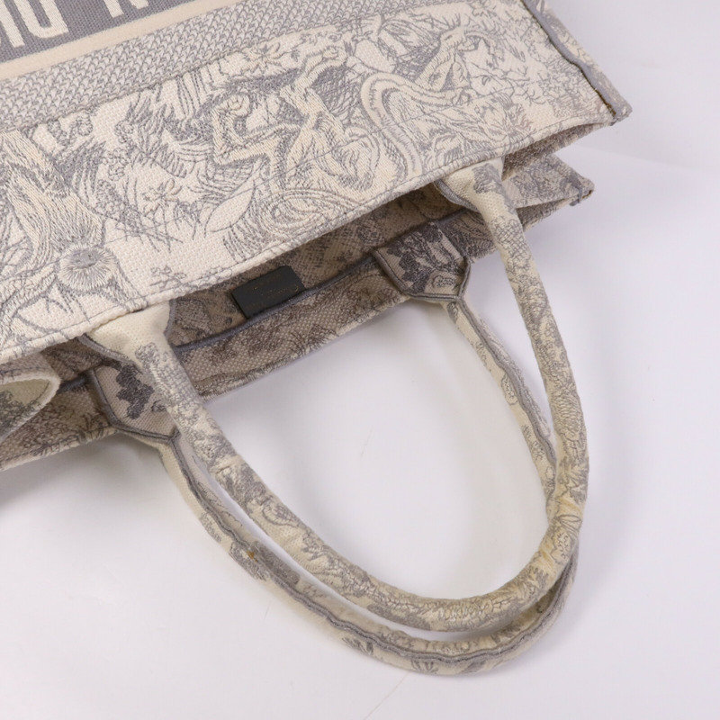 Dior 帆布Book Tote Medium手挽袋-7