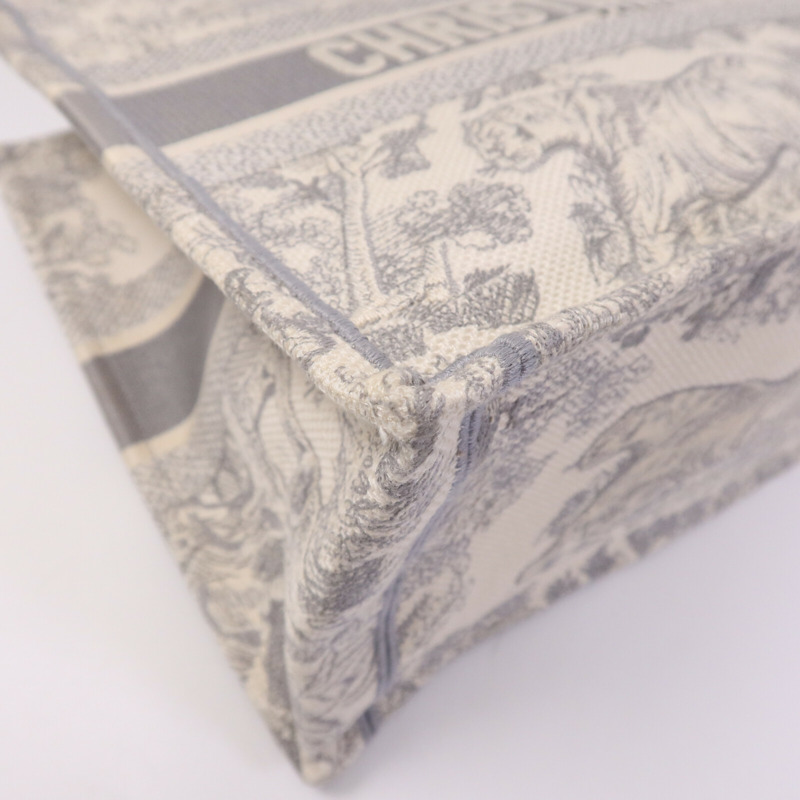 Dior 帆布Book Tote Medium手挽袋-9