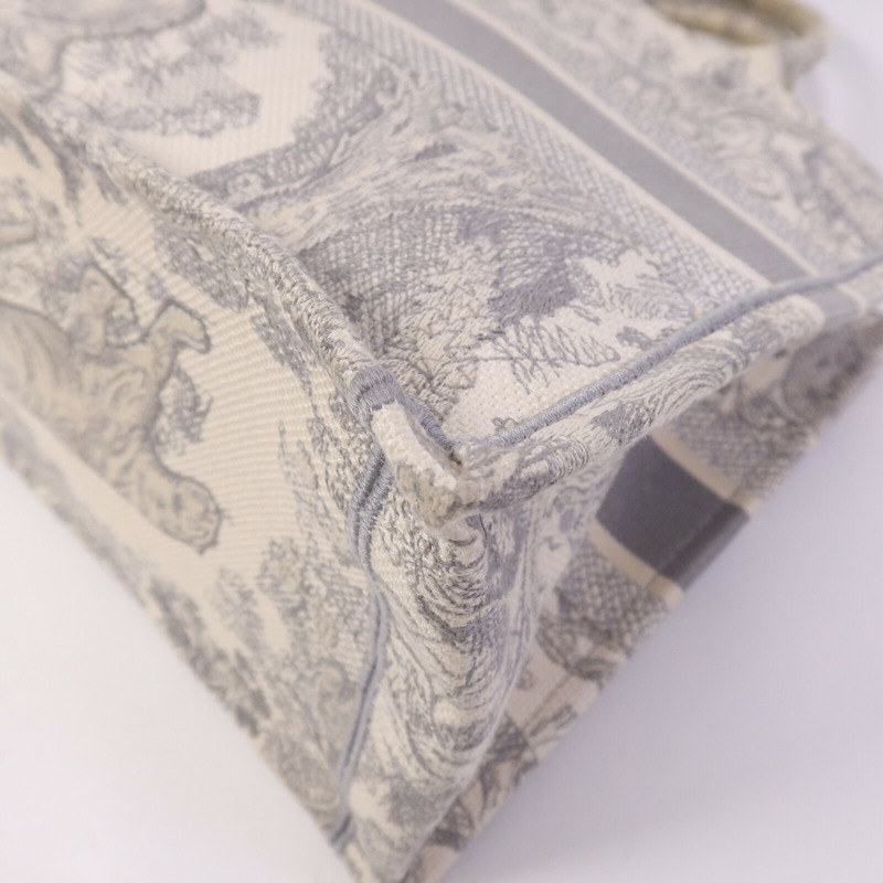 Dior 帆布Book Tote Medium手挽袋-10