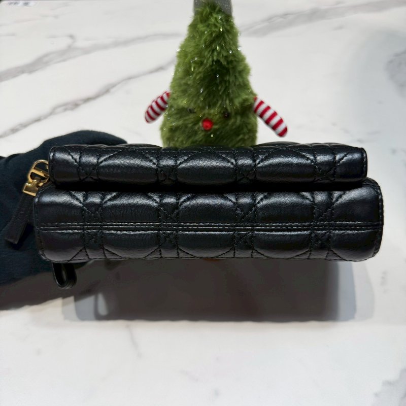 DIOR 全新CARO籐格紋小牛皮相機包-5