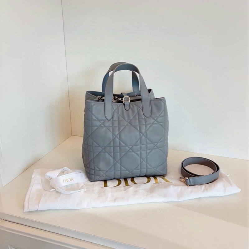 【閒置未使用🆕】Dior Toujours竪款土著包 中號單肩斜挎手提包-1