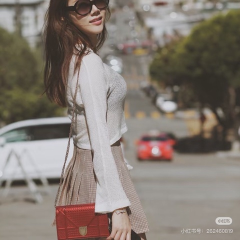 DIOR紅金盾牌woc鏈條包19*13*3 98新配件塵袋