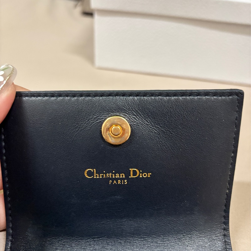 DIOR 卡夾-13