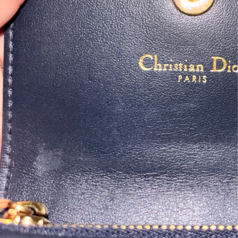 DIOR 卡夾-15