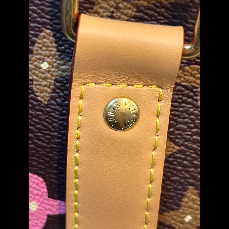 Louis Vuitton x Tyler the creator Keepall 25-9