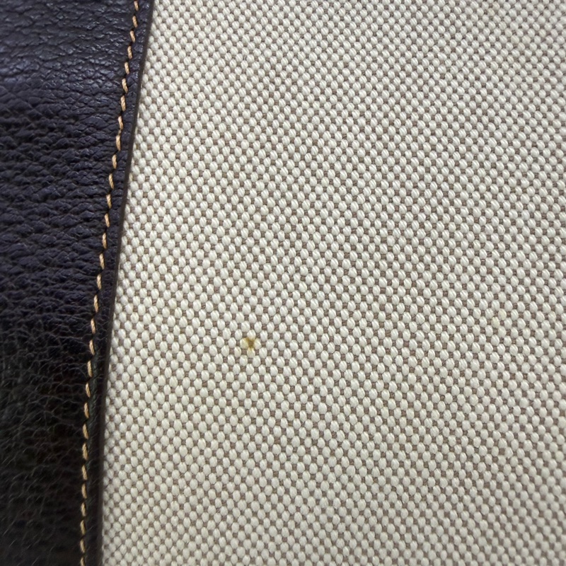 Hermes Garden Party 36-2