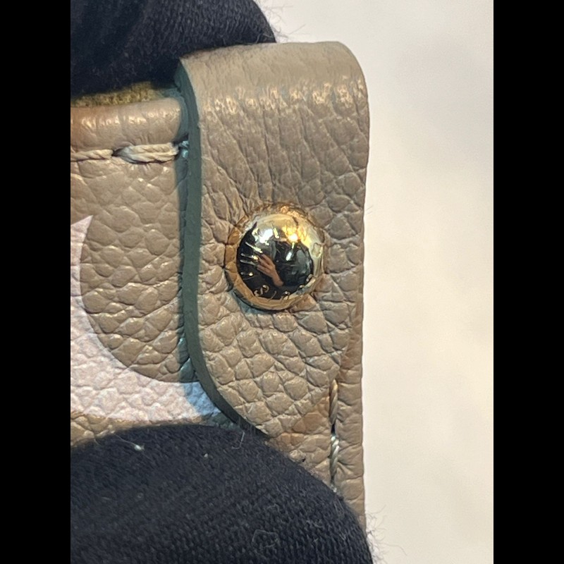 Louis Vuitton On The Go PM-12