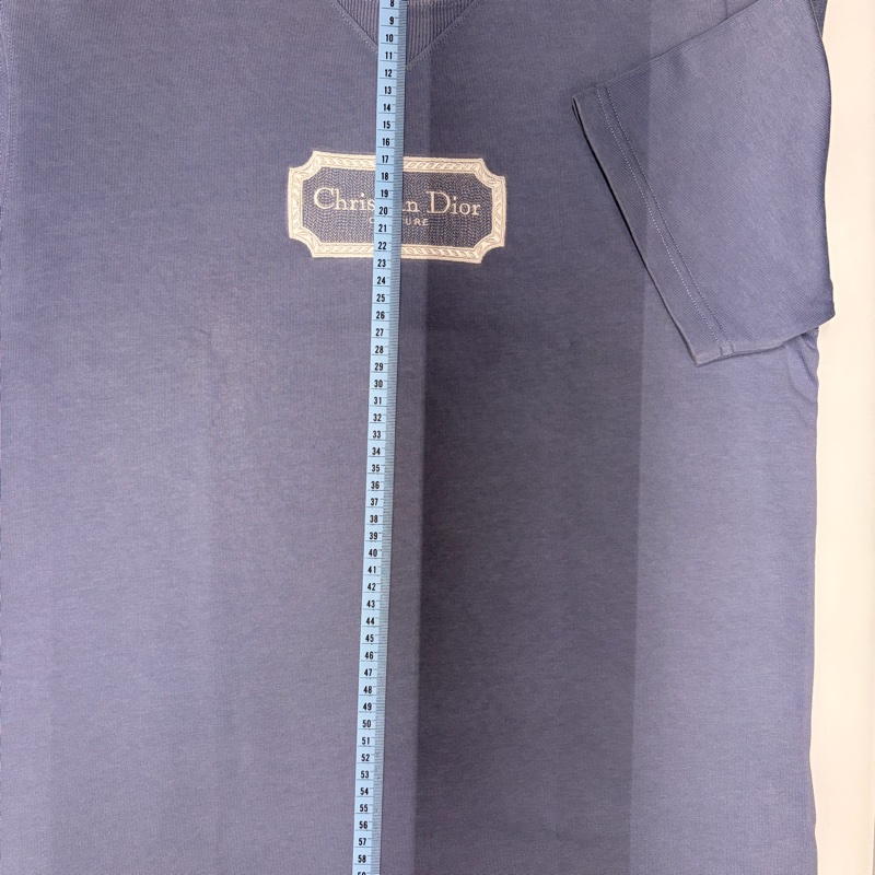Dior 迪奧 95新短袖刺繡T恤 霧霾藍S-12