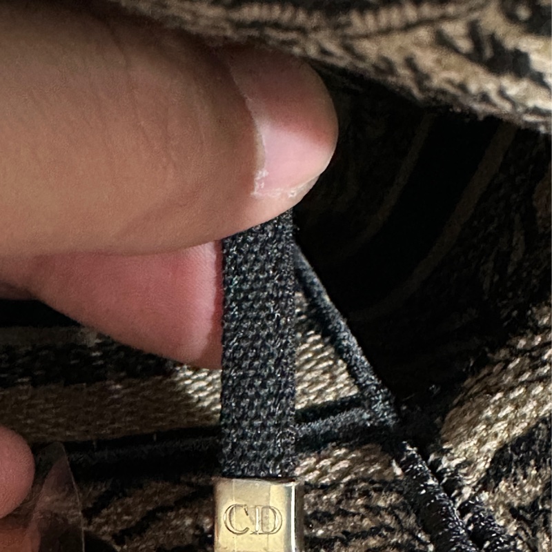 Dior Lady 刺繡戴妃包大象杏-16