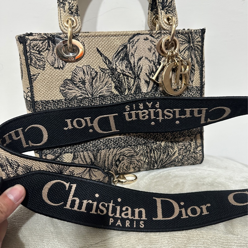 Dior Lady 刺繡戴妃包大象杏-17