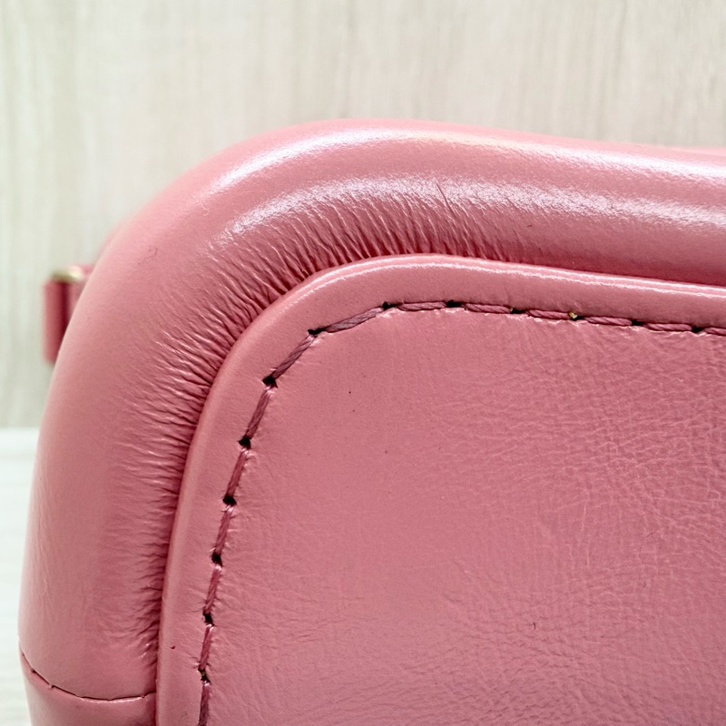 CHANEL粉色限量款新中號流浪包-20