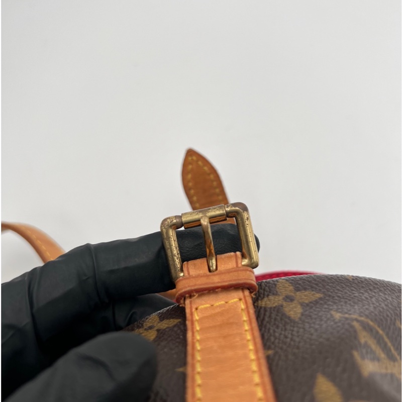 LV經典老花小豬包馬鞍包-8