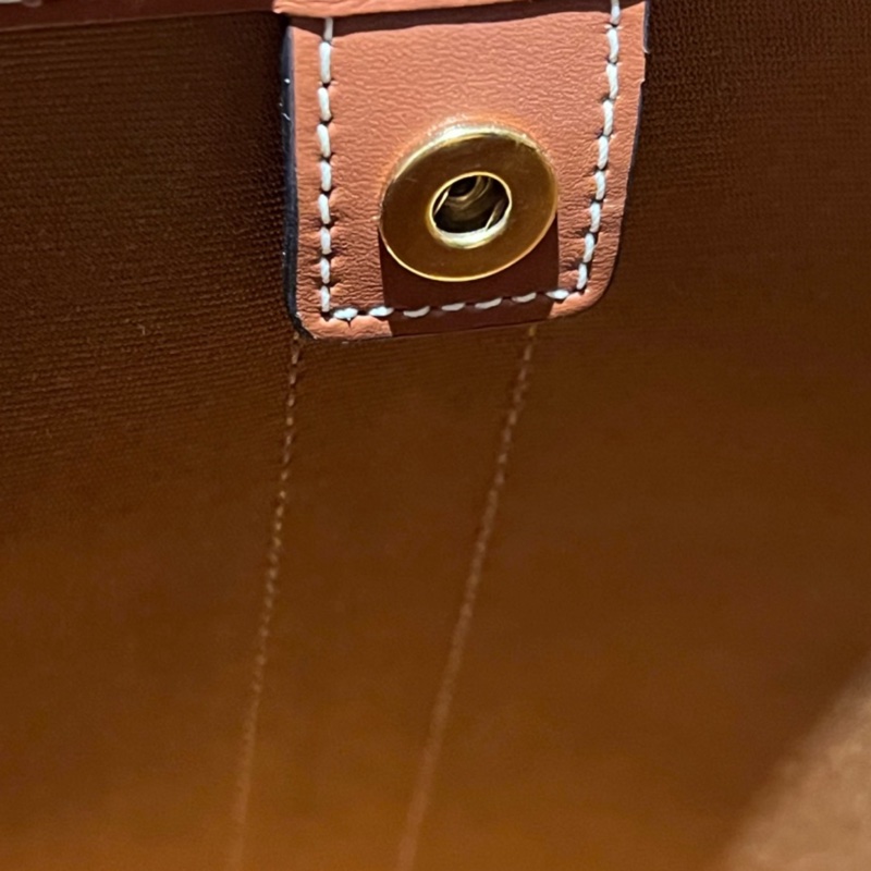 Celine 凱旋門滿版白老花水桶包 小號-17