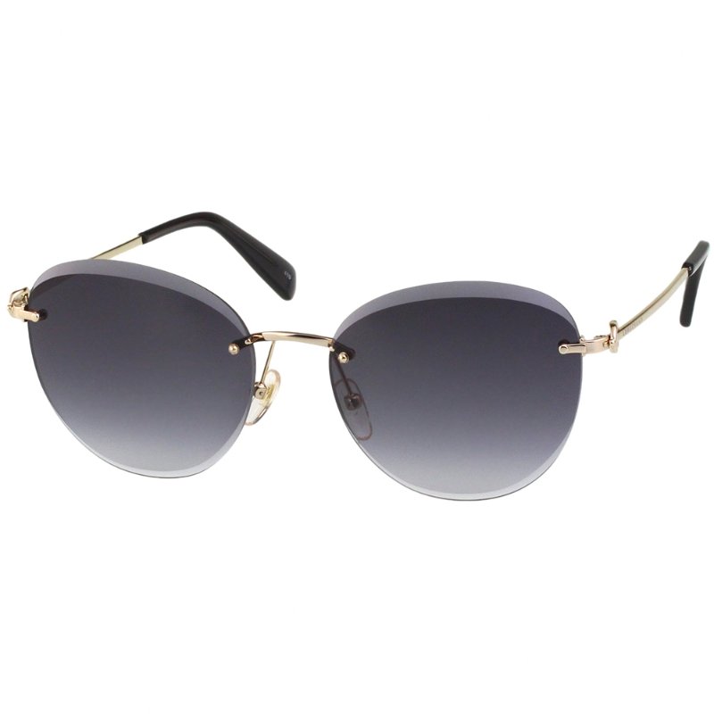 LONGCHAMP 太陽眼鏡(金色)-1