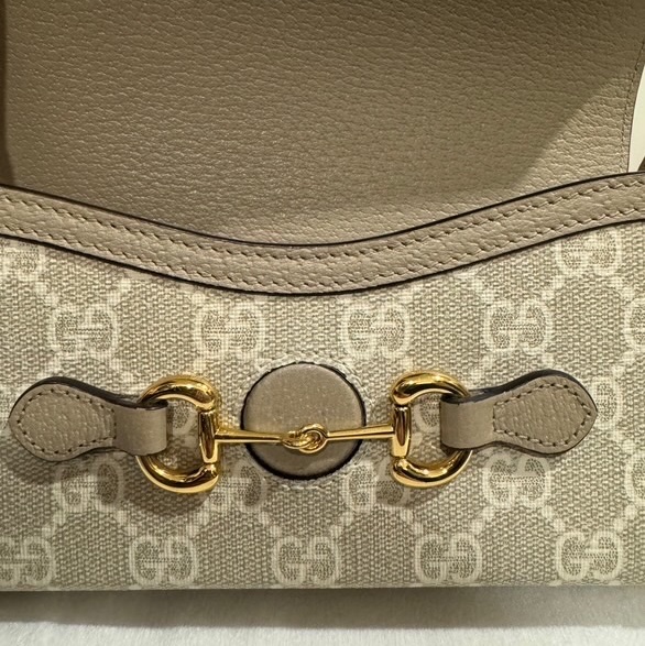 Gucci ophidia-7