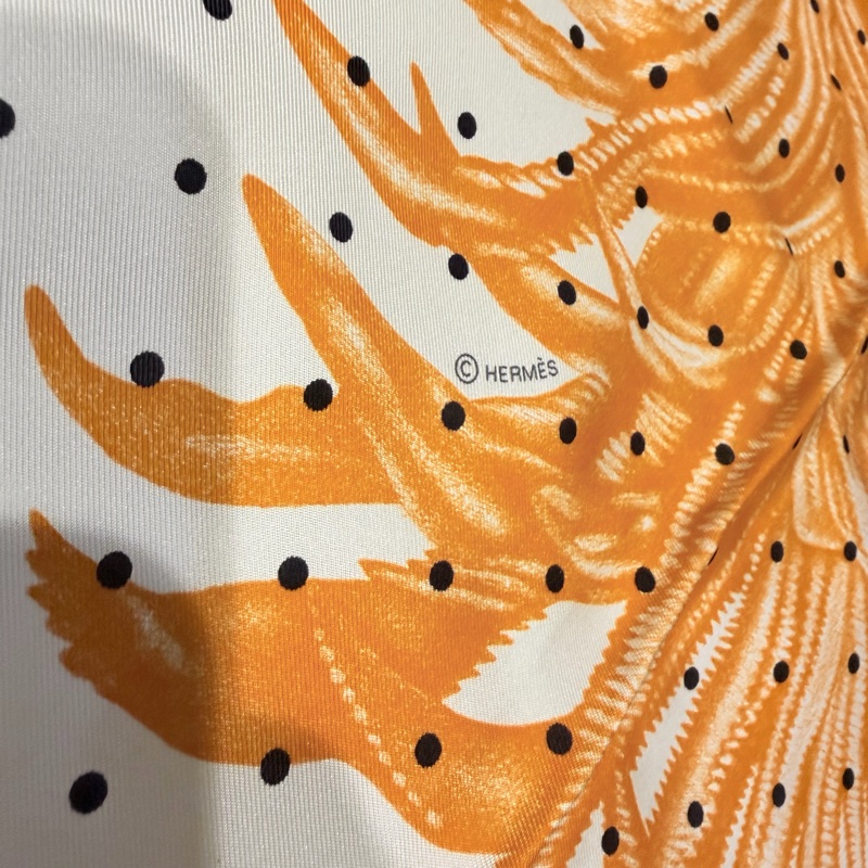 Hermes 華麗輕羽 PLUMETS ET PANACHES El 90*90絲巾-13