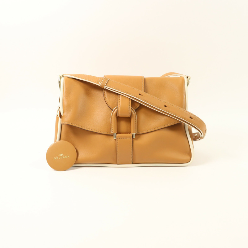 Delvaux 牛皮皮革Givry PM金扣肩背袋-9