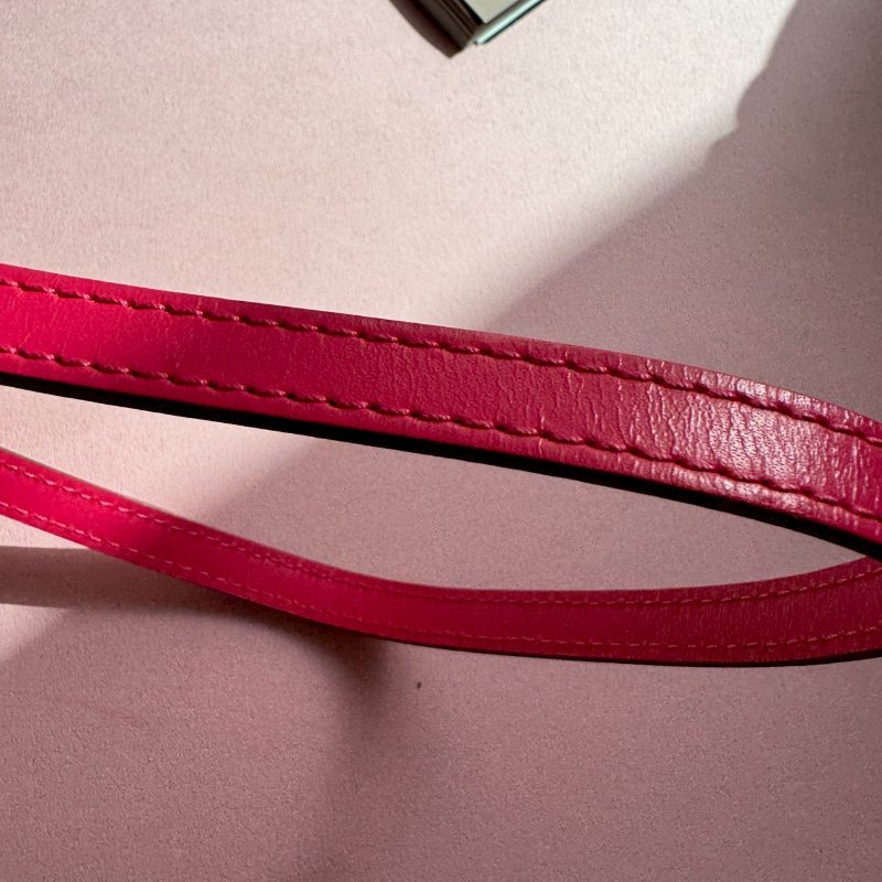 ✨超可愛 LV 桃紅色Alma斜背手提貝殼包-25