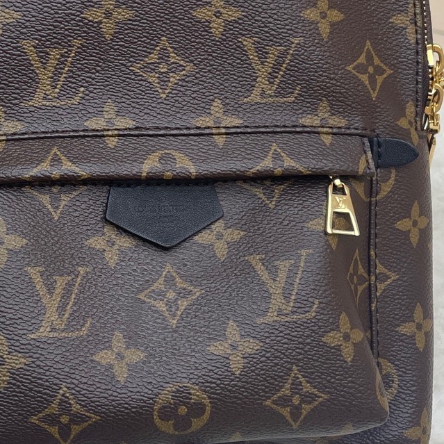 LV 路易威登 Palm Springs 老花雙肩包 小號 芯片款-4