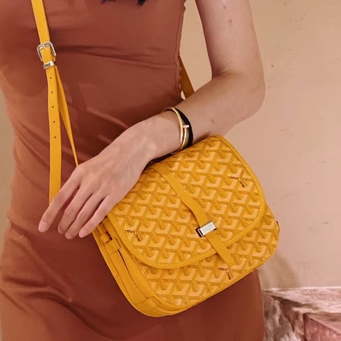 超難買✨吸睛日常款🍋Goyard戈雅亮黃色銀扣Belvedere 小號郵差包斜挎單肩包-6