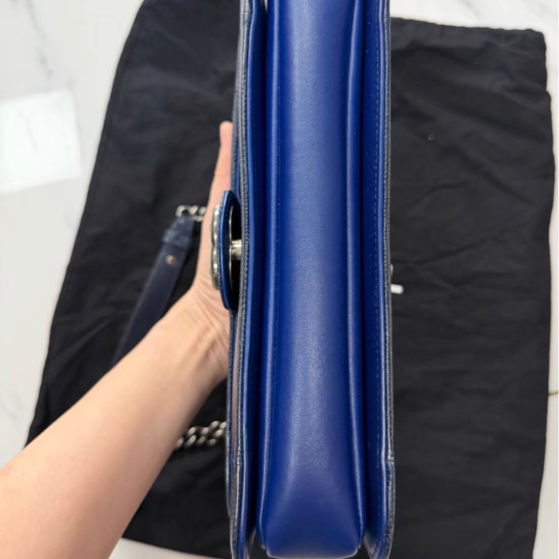 Chanel+蜥蜴皮 flap bag  98新-2