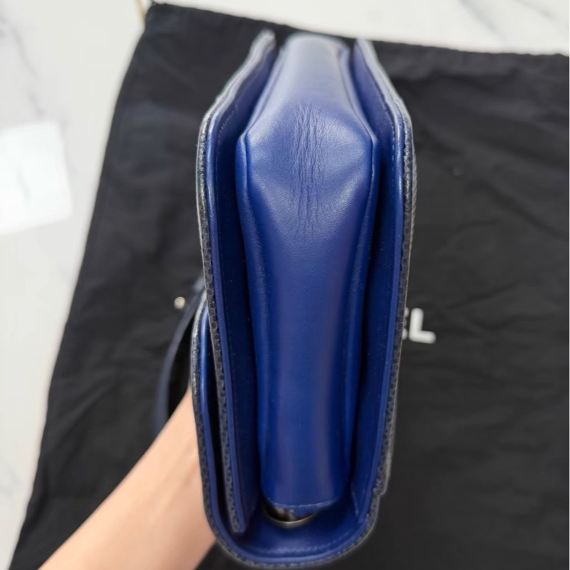 Chanel+蜥蜴皮 flap bag  98新-4