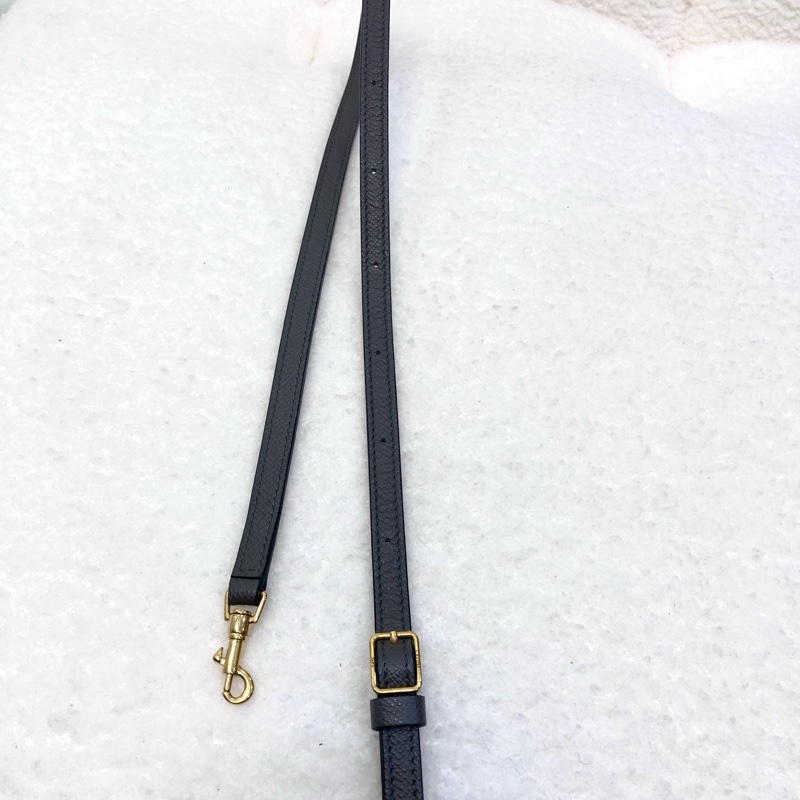 賽琳絕版鯰魚包Celine大象灰牛皮金釦Pico Belt鯰魚包-22