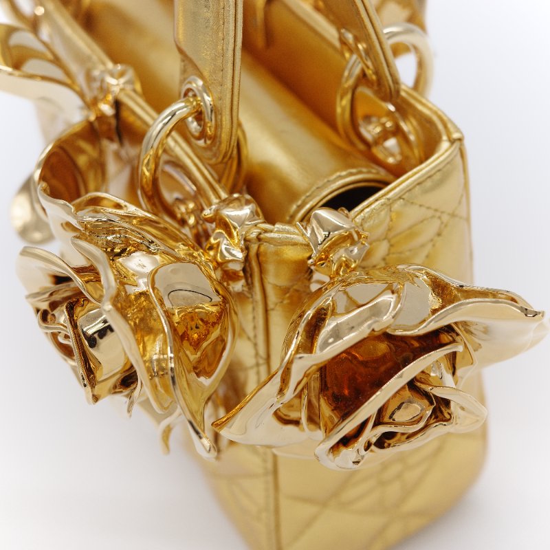 Dior 迪奧Dior Lady Art Anna Weyant 藝術家限量 金色金屬光澤 小羊皮 肩背包 手提包-12