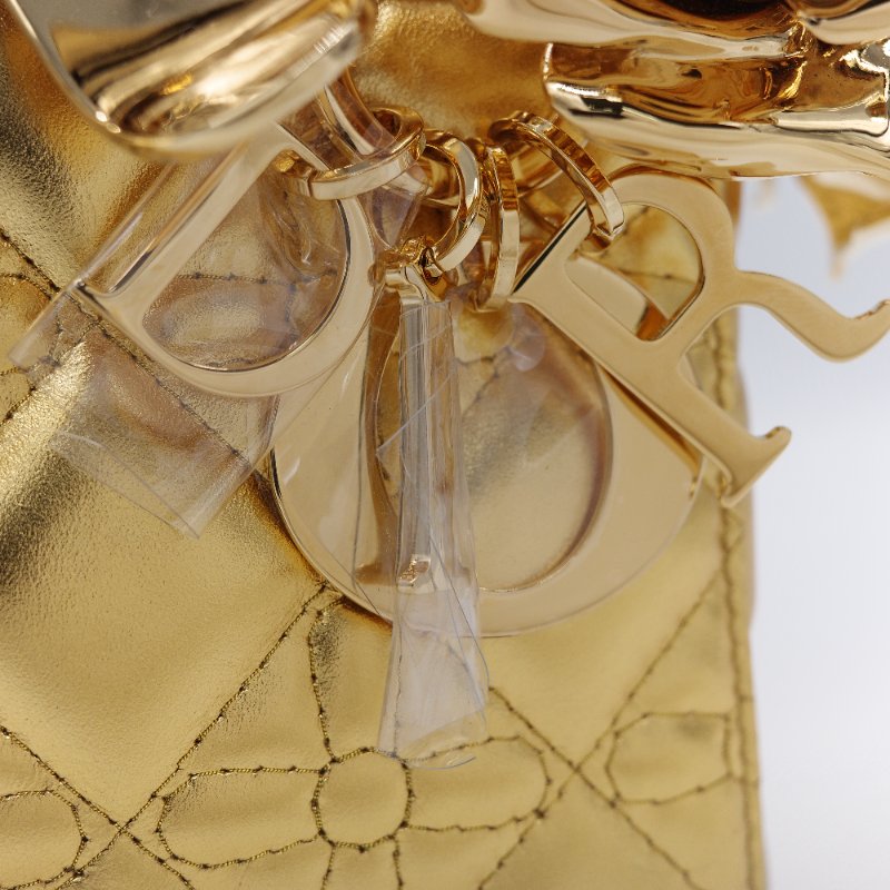 Dior 迪奧Dior Lady Art Anna Weyant 藝術家限量 金色金屬光澤 小羊皮 肩背包 手提包-13